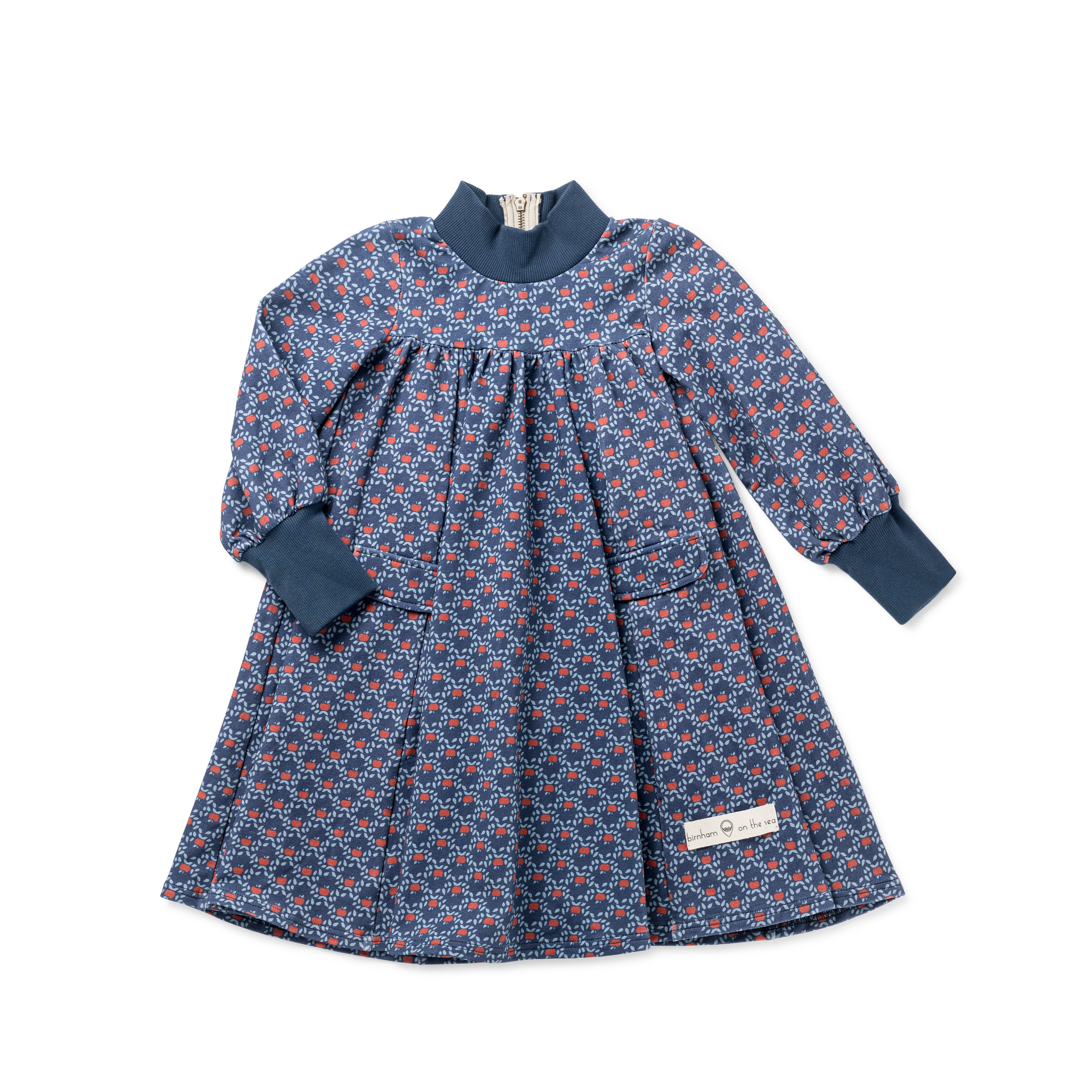 Birnham on the Sea Girls Apple Print Swing With Back Zipper Dress
