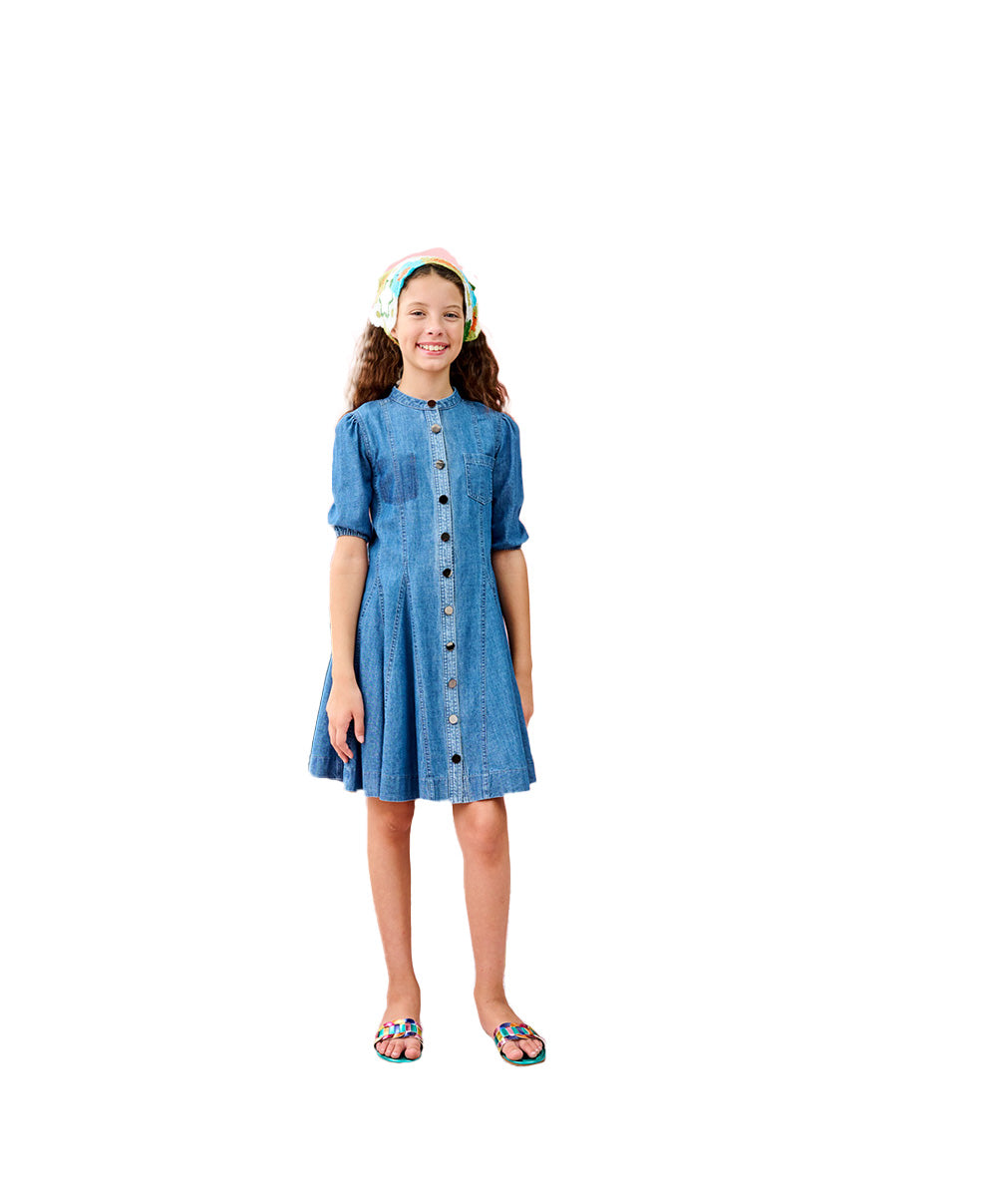 Porter Paneled Snap Front Denim Dress