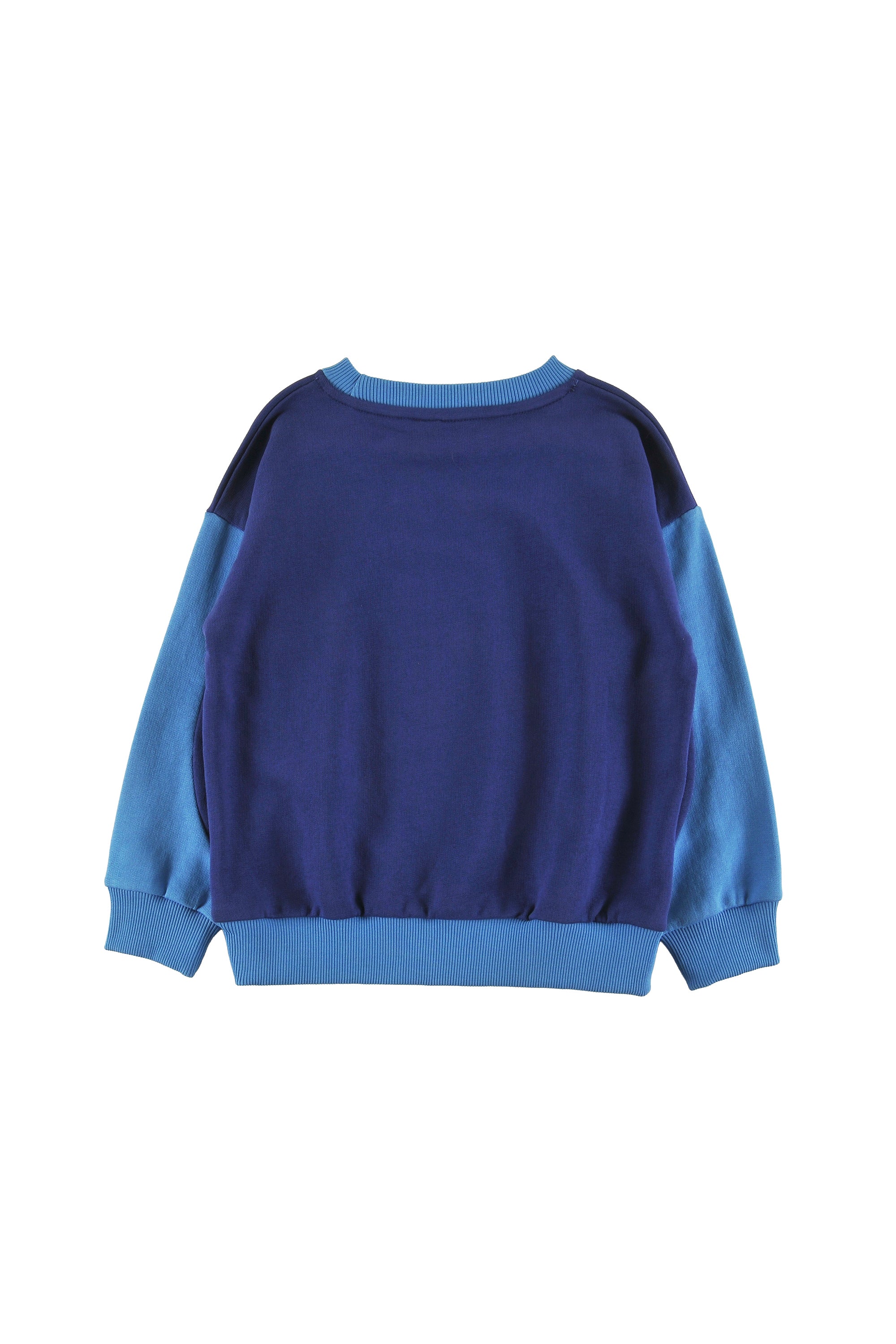 Loud Sleigh Green Navy Sweater
