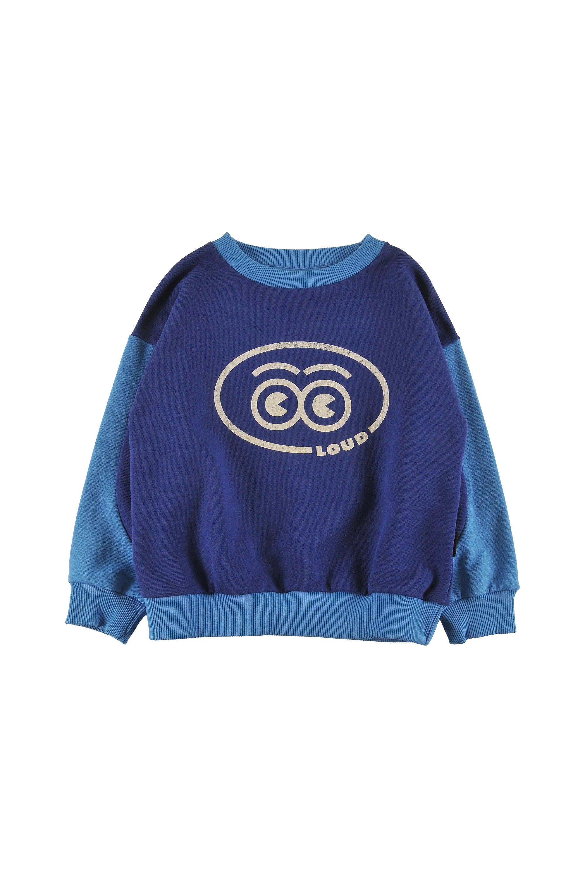 Loud Sleigh Green Navy Sweater