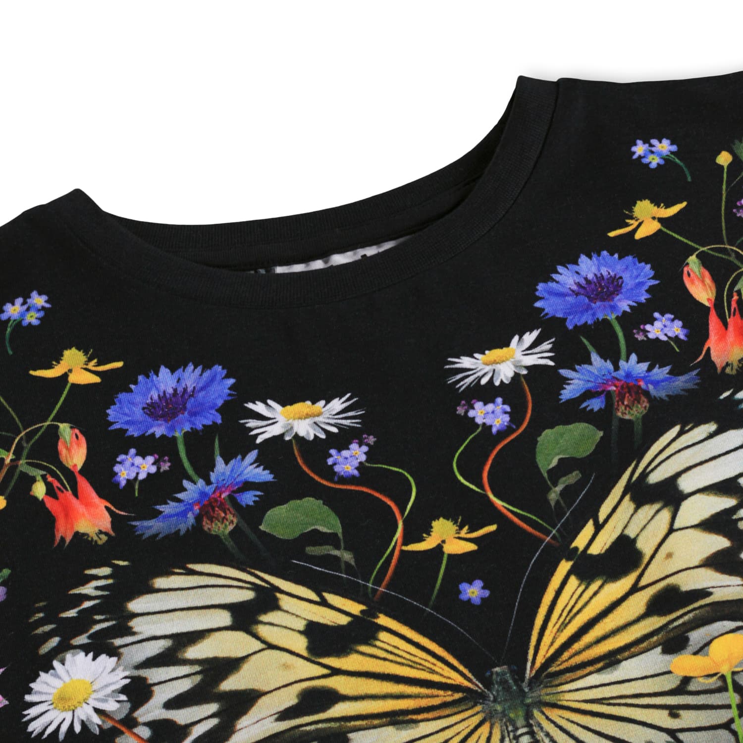 Molo Nouveau Butterfly T-shirt Short Sleeve