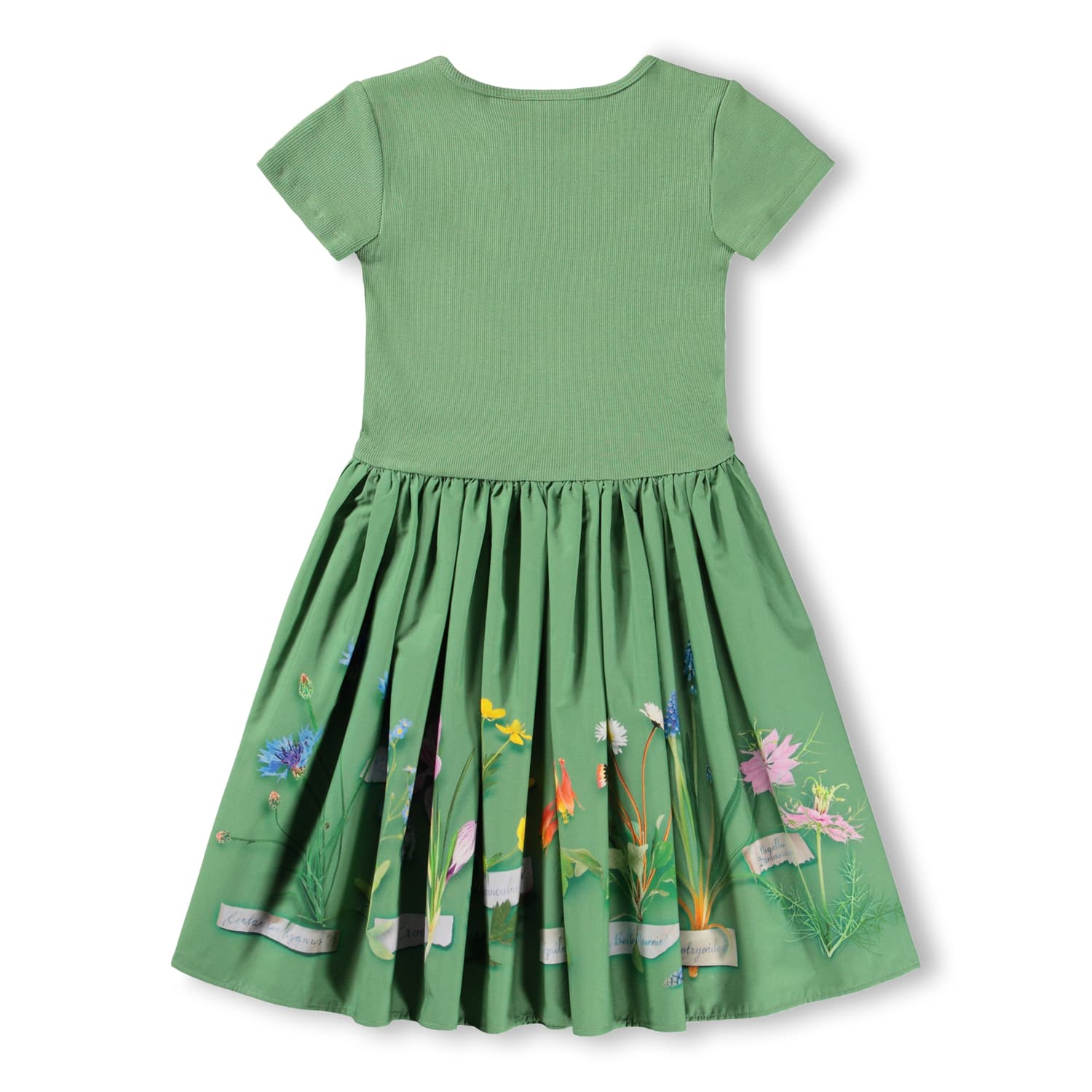 Molo Flora Collector Dress