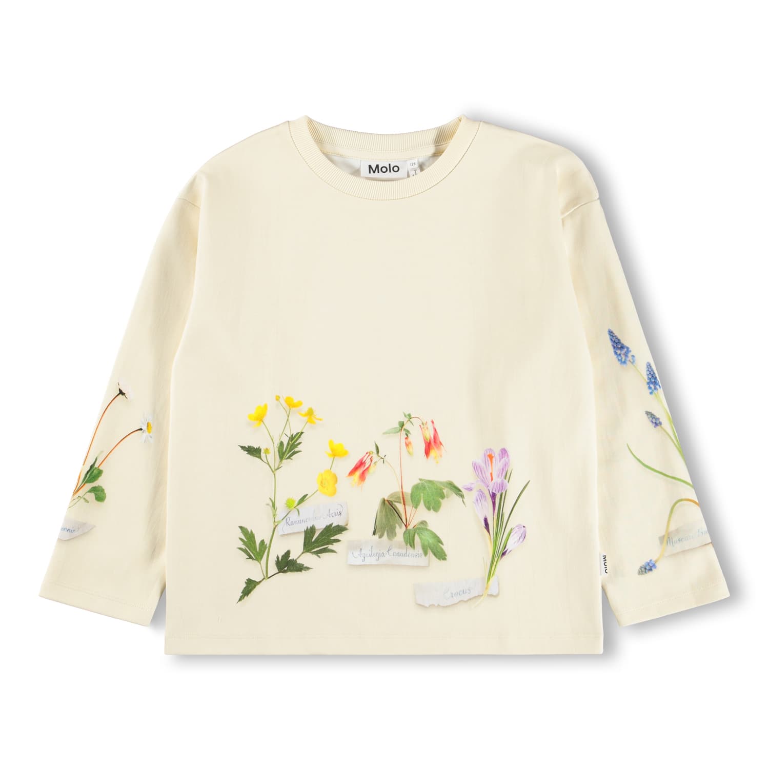 Molo Flora Collector Sweatshirt