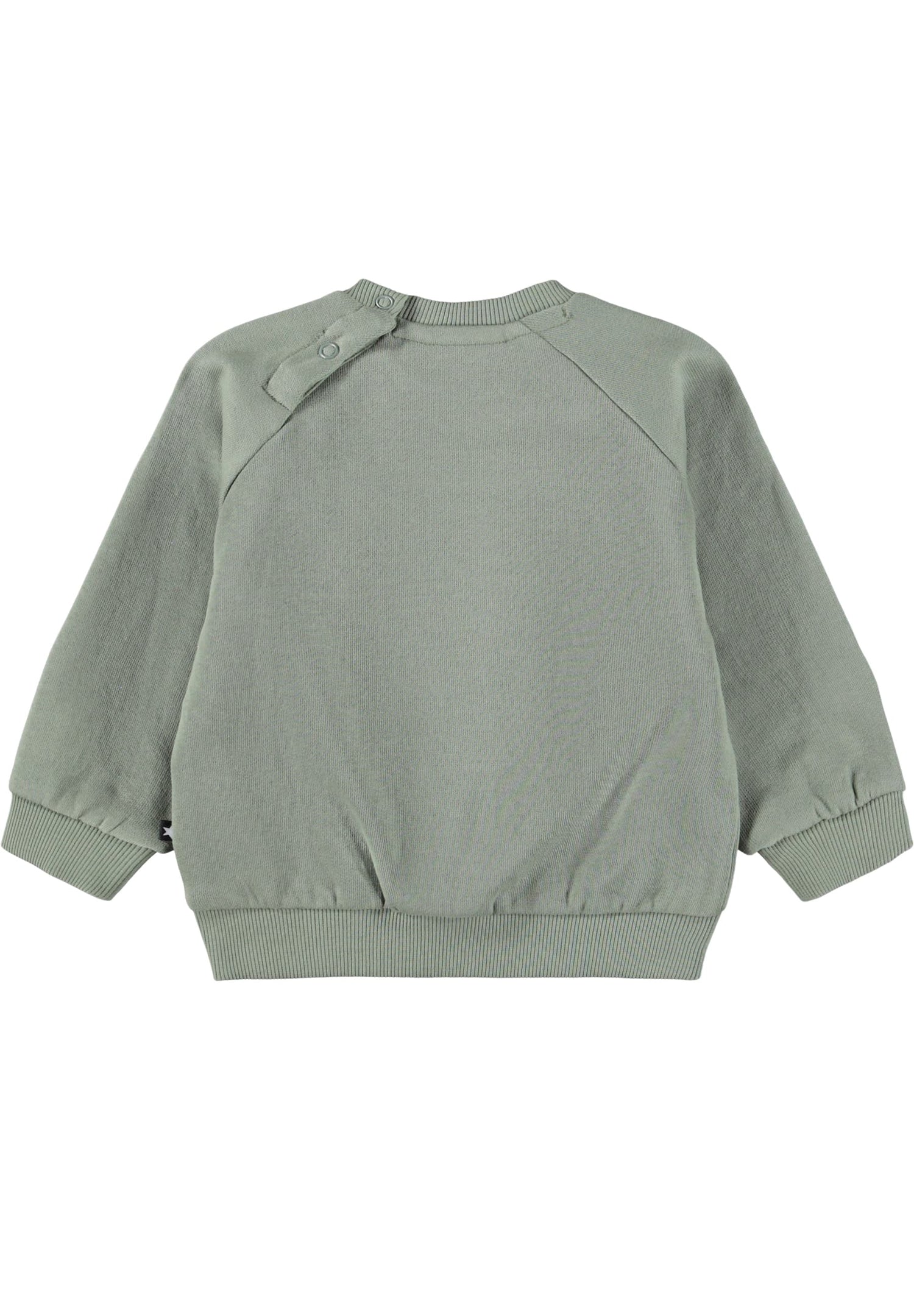 Molo Baby Disc Cladonia Sweatshirt