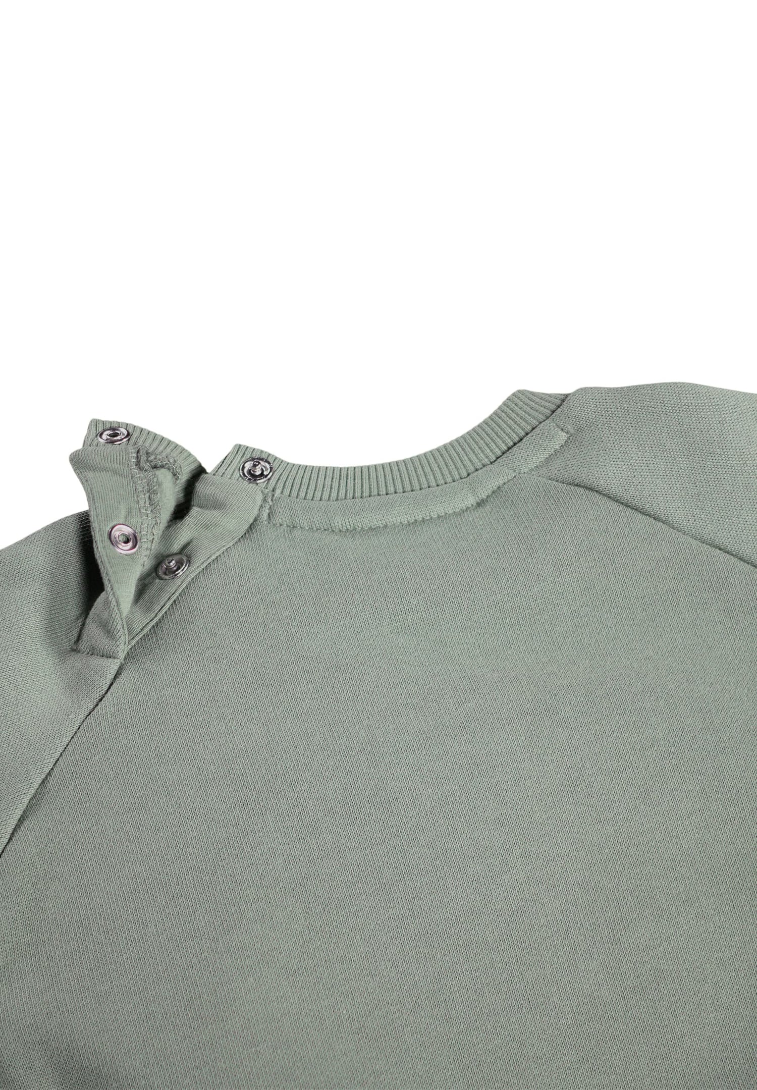 Molo Baby Disc Cladonia Sweatshirt