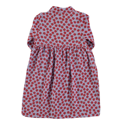 Piupiuchick Lilac with Red Apples Dress