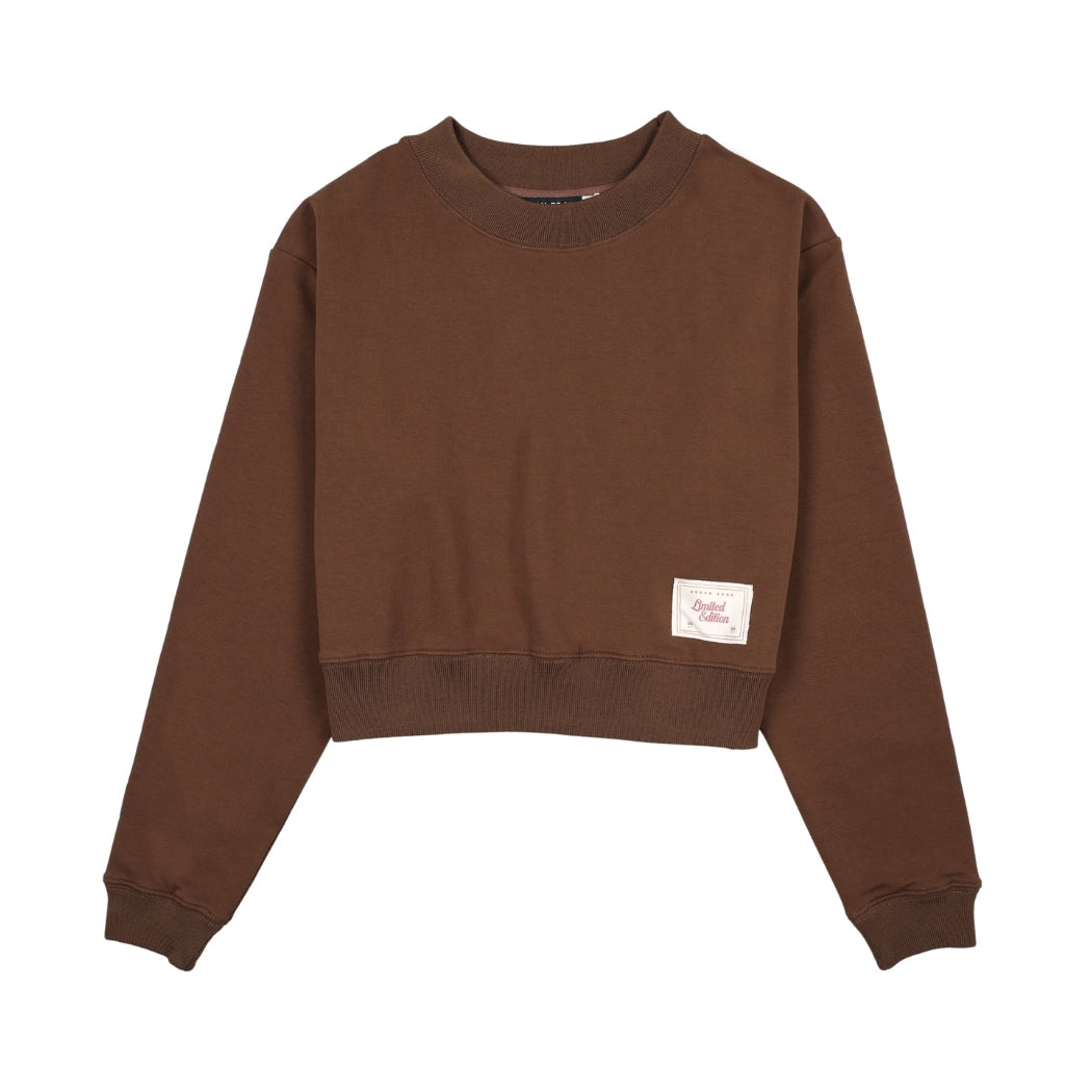 Urban Edge Teens Brown Cropped Sweatshirt