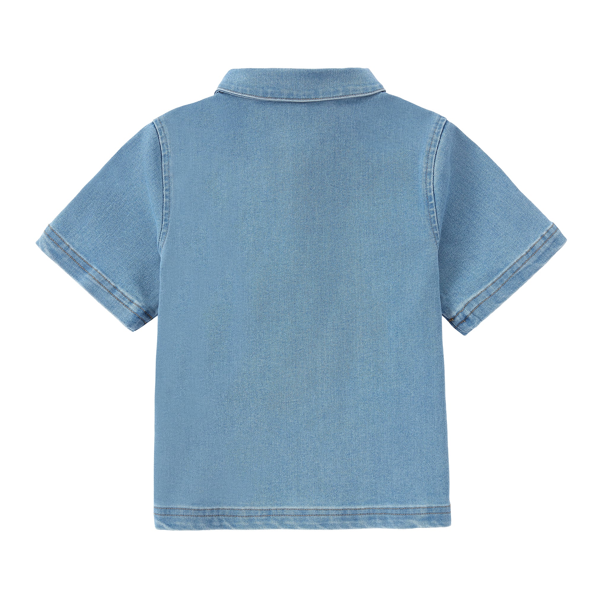 Collared Shirts 3161