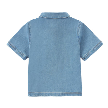 Collared Shirts 3161