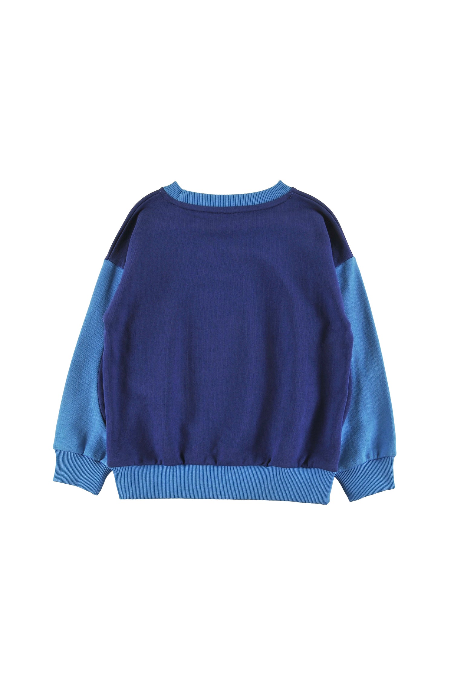 Loud Sleigh Green Navy Sweater
