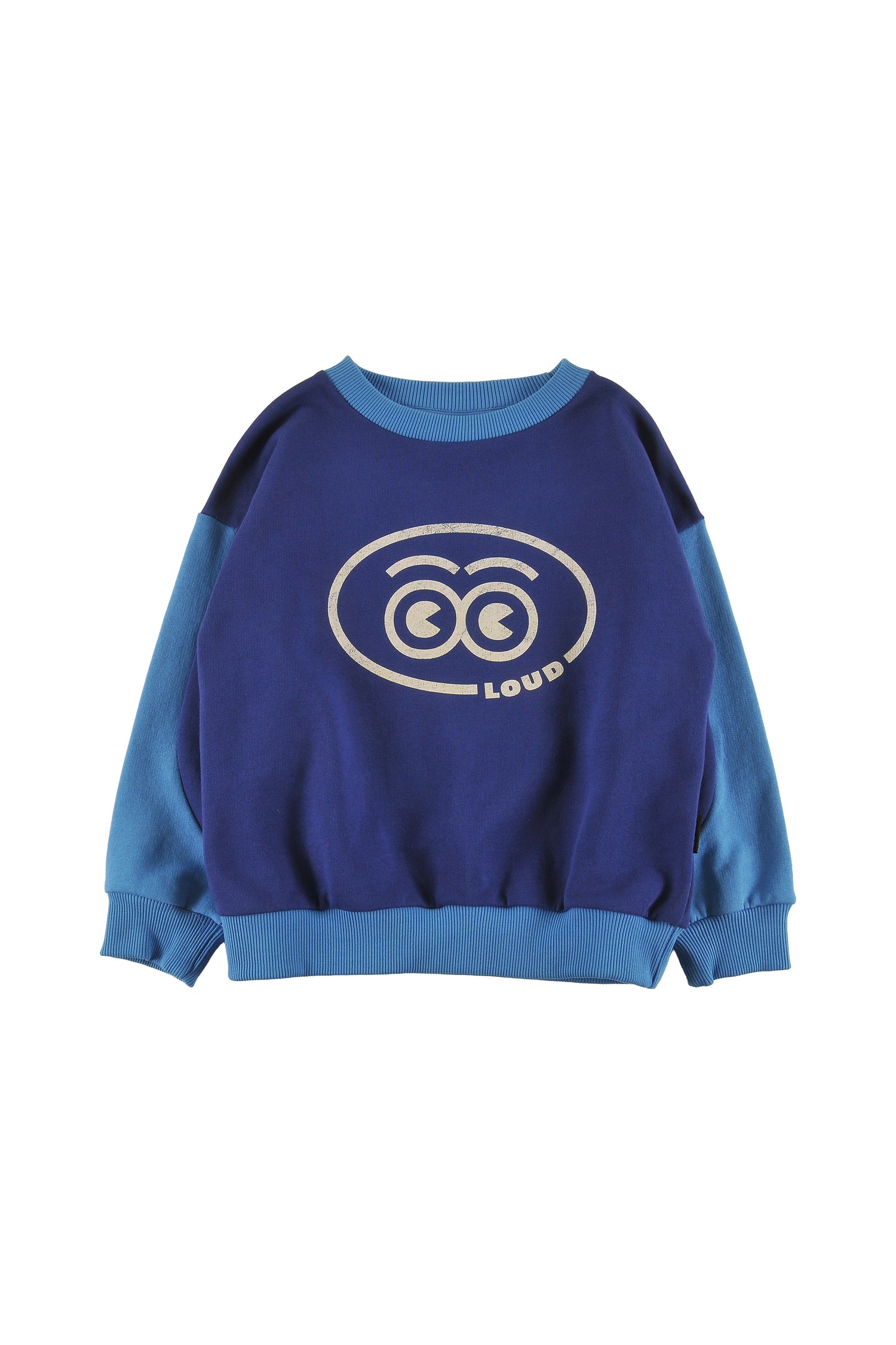 Loud Sleigh Green Navy Sweater