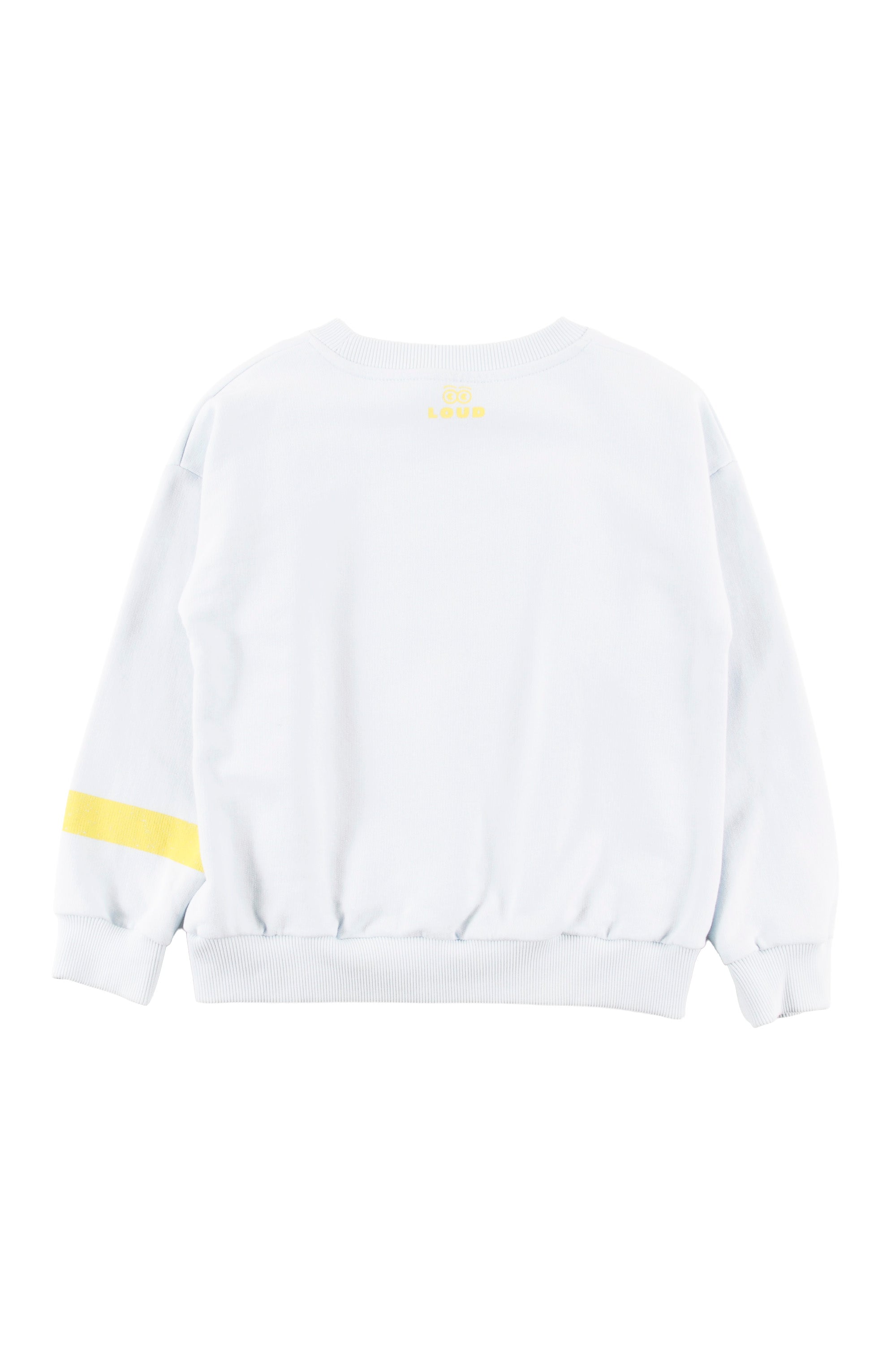 Loud Beach Flag Sweater